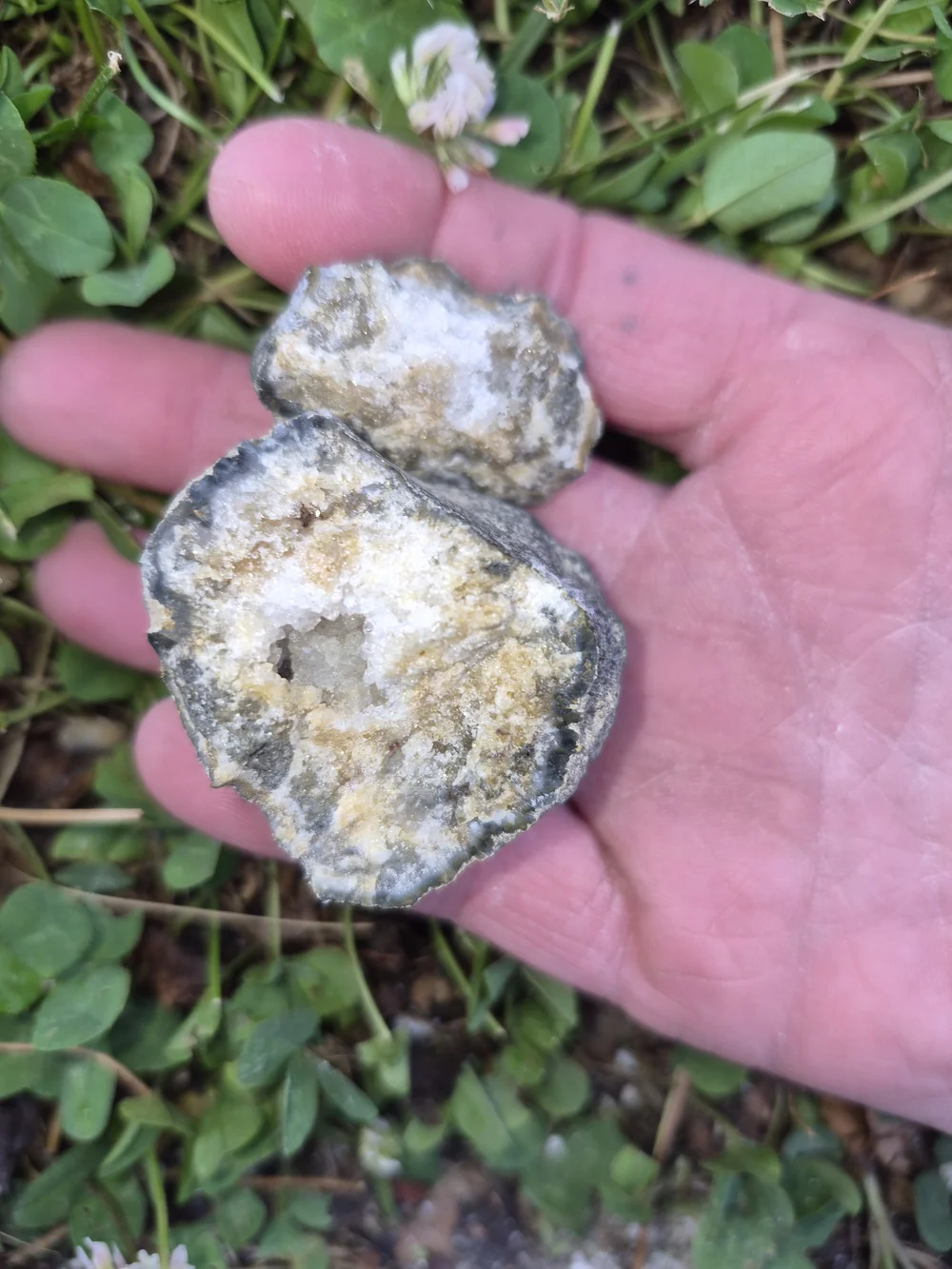 Raw Natural And Uncut Crystals And Fossils